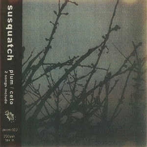 toy box brain by susquatch